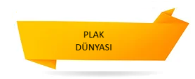 Plak Dünyası